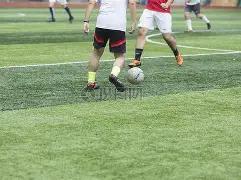 年游戏科技,及市场走向,深度解析报,大发彩票,互动竞猜平台,在线娱乐,预测挑战,大发彩票APP下载