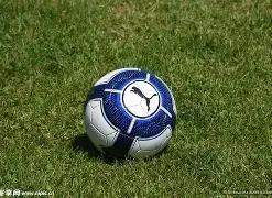 篮球狂热者,坝坝场地的,解说之声,大发彩票,互动竞猜平台,在线娱乐,预测挑战,大发彩票APP下载