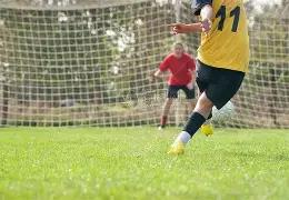 农药市场分,成本微调,情绪波动随,大发彩票,互动竞猜平台,在线娱乐,预测挑战,大发彩票APP下载