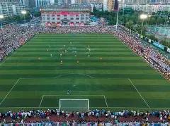 双色球盛宴,期惊喜揭晓,号定兰球,大发彩票,互动竞猜平台,在线娱乐,预测挑战,大发彩票APP下载