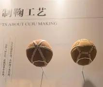 一叶知秋,双色彩运,揭秘,大发彩票,互动竞猜平台,在线娱乐,预测挑战,大发彩票APP下载