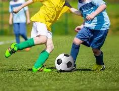 龙腾彩池,双色球第,期凤尾双星,大发彩票,互动竞猜平台,在线娱乐,预测挑战,大发彩票APP下载