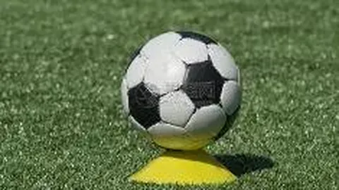 “2025年中国体育发展策略高峰论坛举行”