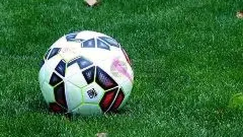 陈军辞任中国黄金副总经理兼董秘职务