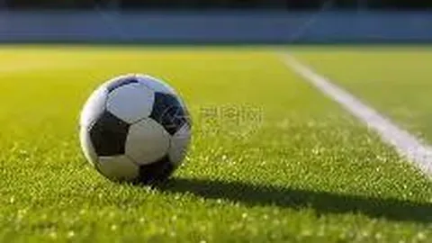 【双色球惊喜连连】第25138期独家大仙预测：红蓝号码揭晓，免费红球蓝球推荐，不容错过！🎉🎊