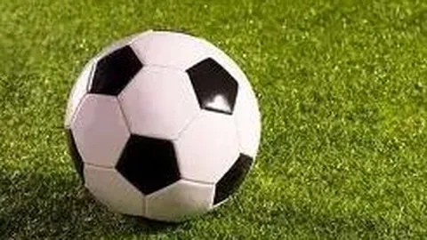 【彩界奇才揭秘】福彩3D第2026024期必杀二码：29，中奖稳抓！