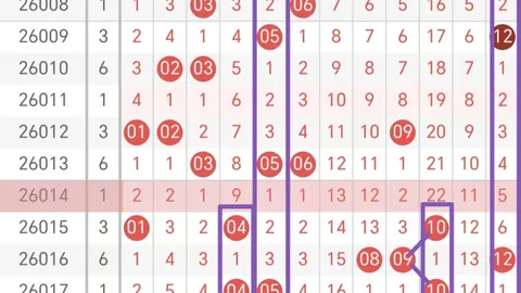 探寻神秘东巴智慧！双色球第2026014期独家五胆预测，小投入赢大奖！