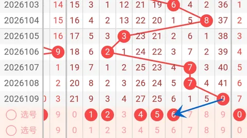 福彩3D第2026107期洞庭湖专家质合推荐分析